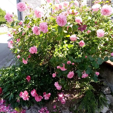 Gite Les 27 Roses Et Plus Châtel-Censoir Exterior foto